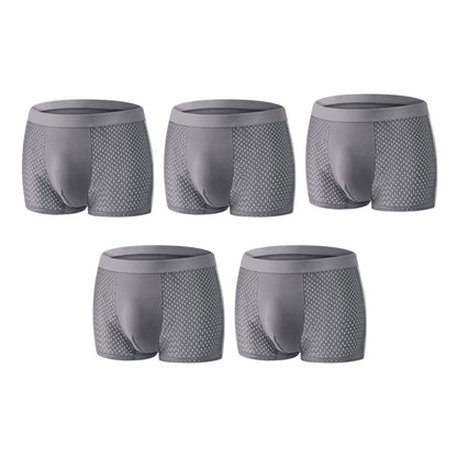 【Buy 3 Get 2 Free】-2026 HOT SALE🔥 Sfrcord® Premium Leakproof lceSilk Mesh Men's Boxer