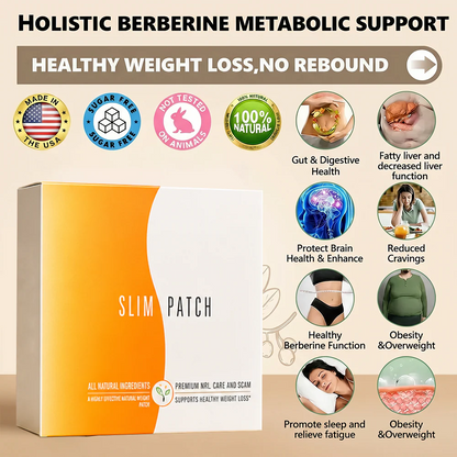 🔥 Buy 1 Get 1 Free-Alcuras® The Daily Patch Designed For Modern Wellness